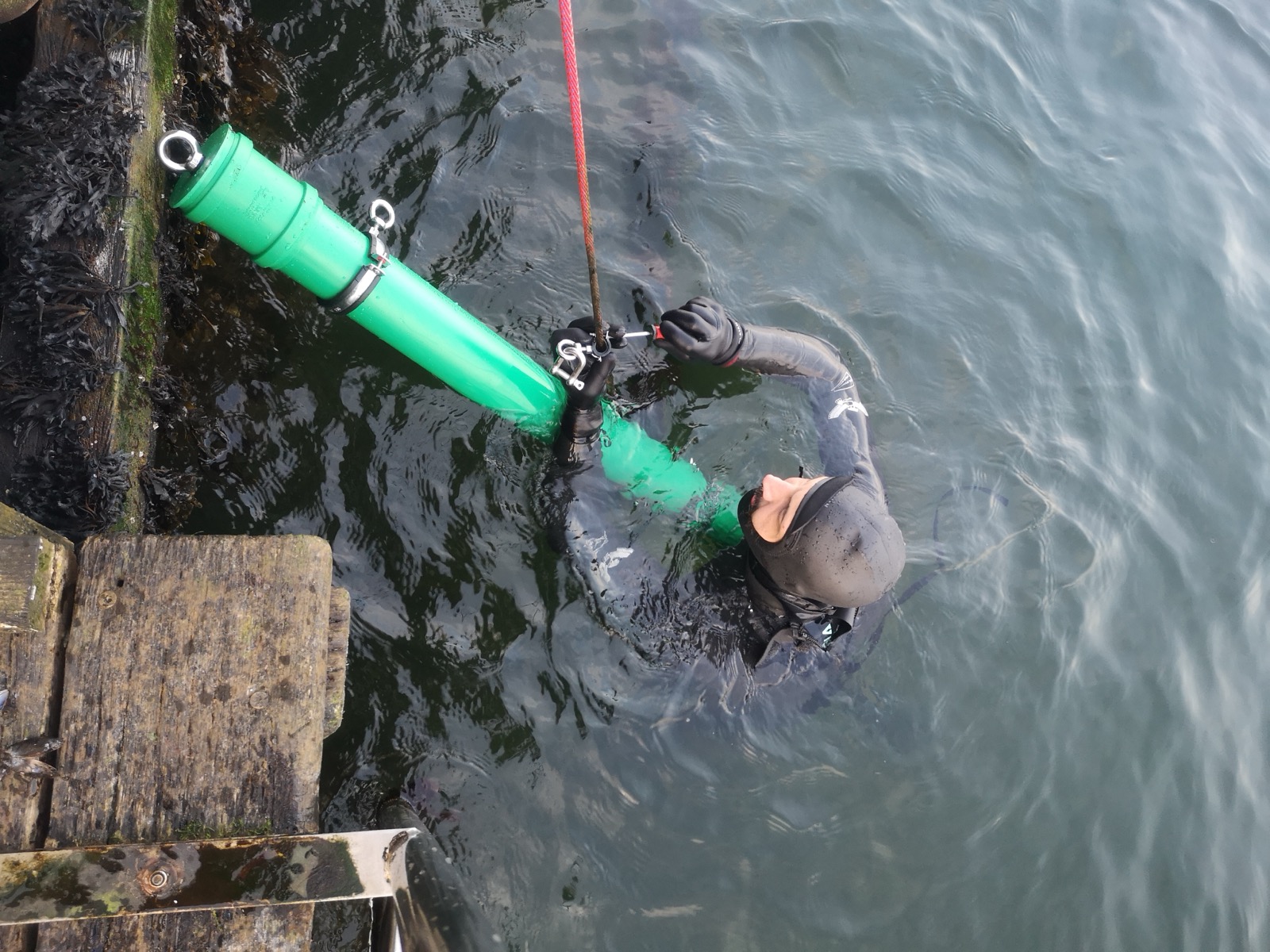 Diver connecting the mooring strut to its line in the water, Kiel