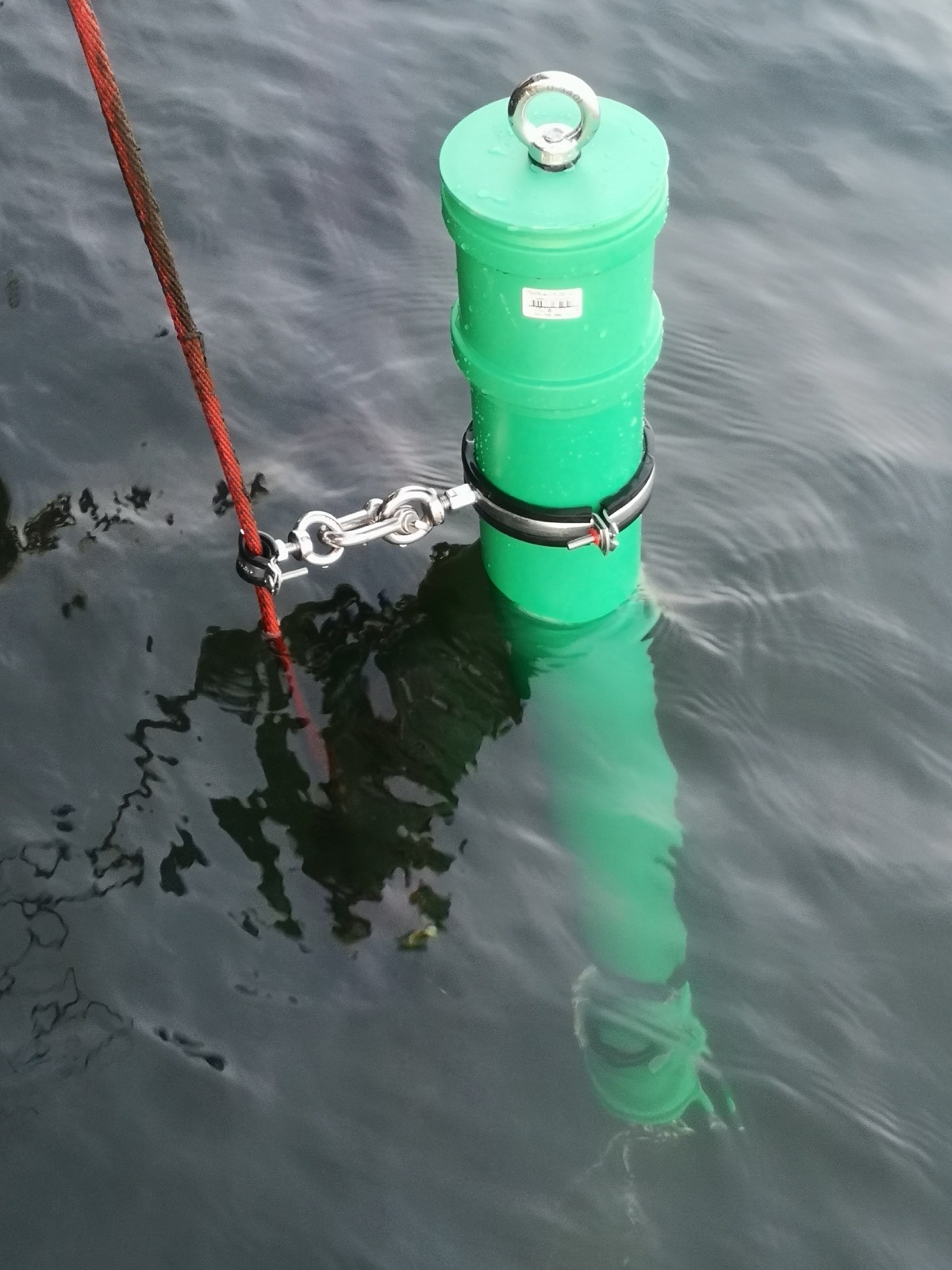 Green buoy body floating upright, held by a shackle and a mooring line