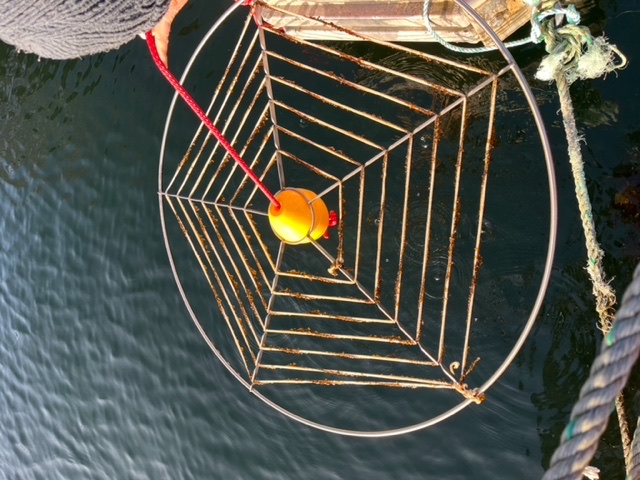Round wire frame with a yellow buoy at its centre, held at the water from a jetty