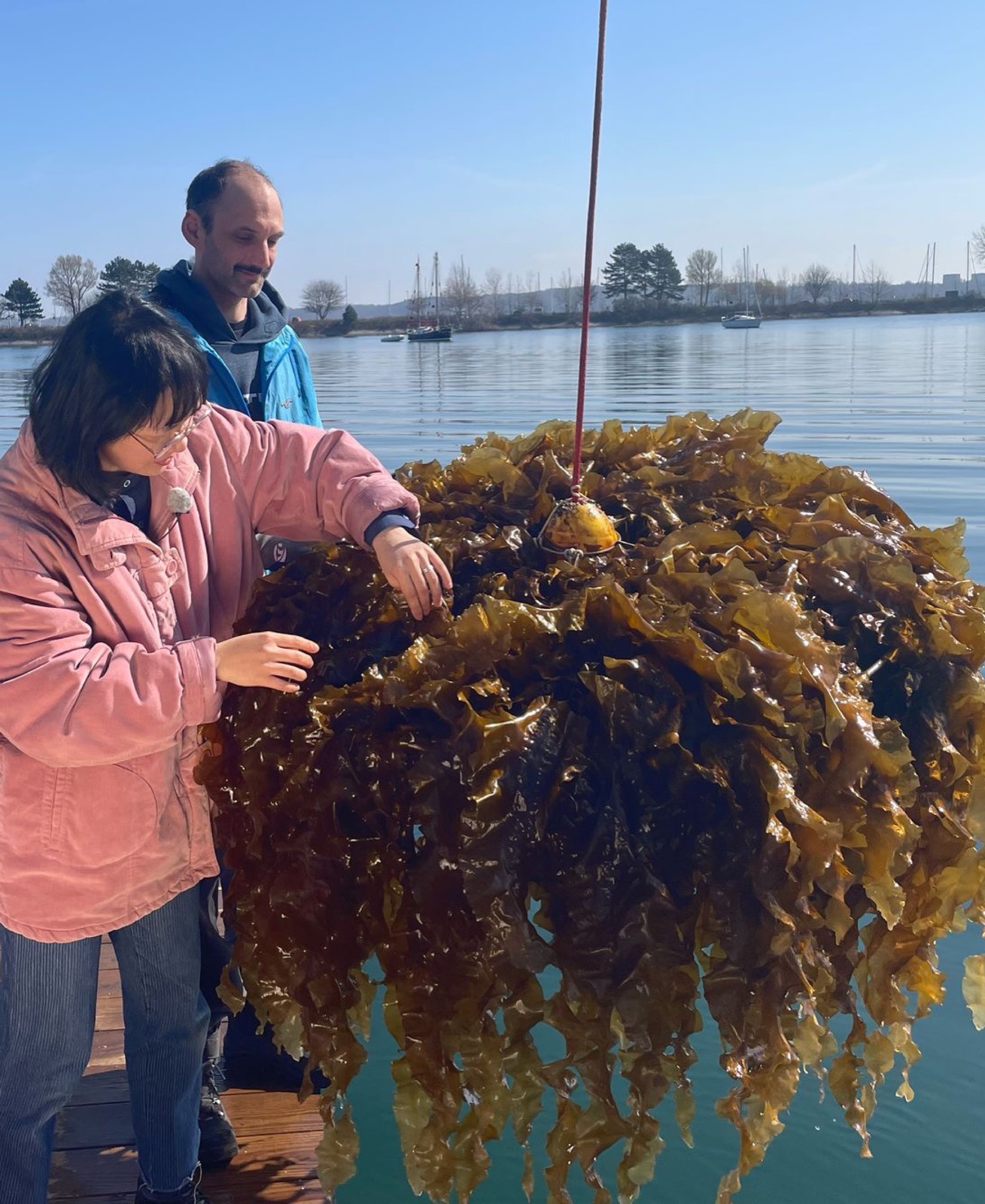 Two people on a jetty beside a frame hanging from a rope, covered in kelp