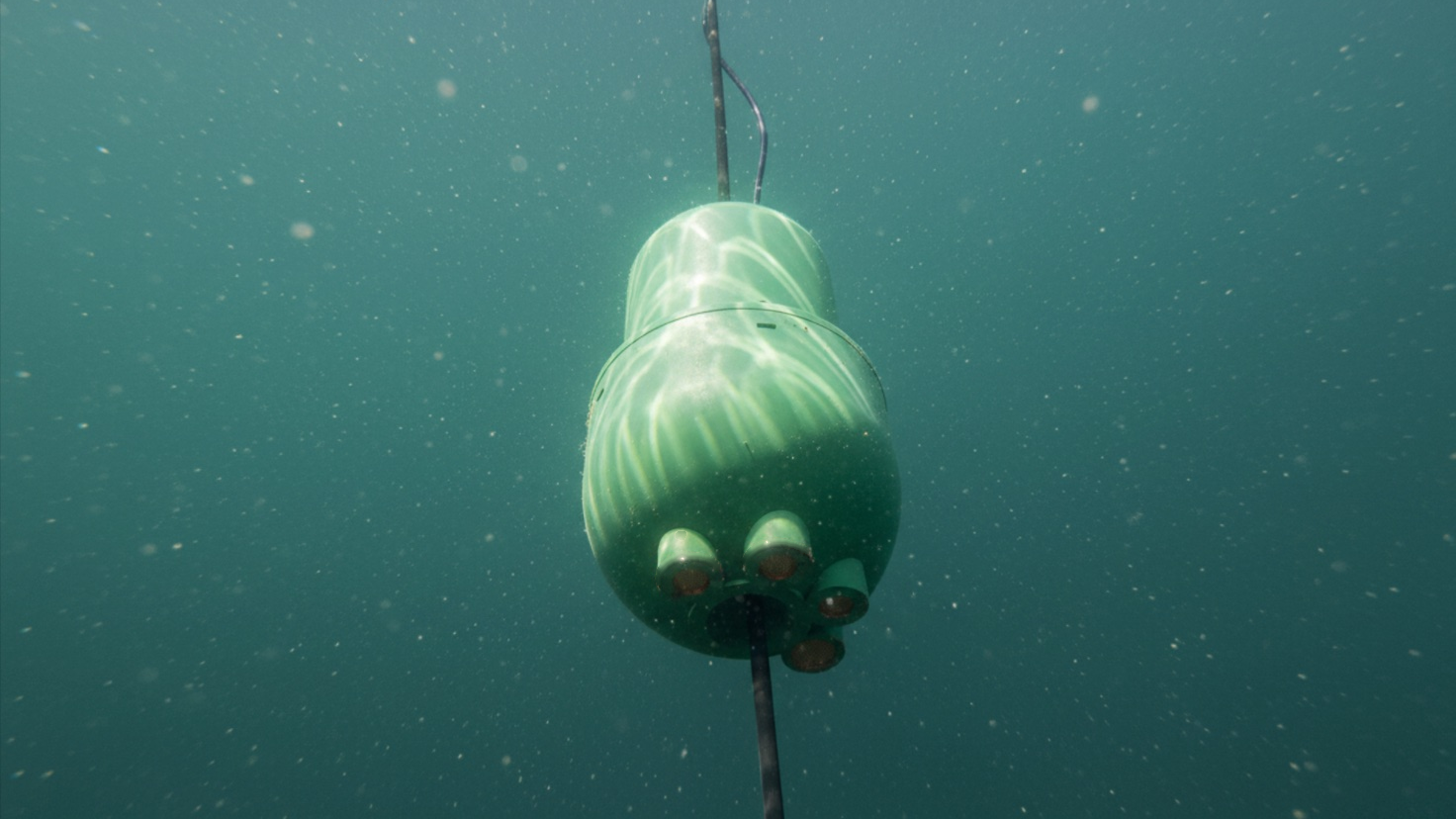 HYDRA sensor in water